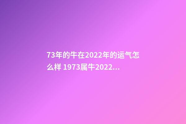 73年的牛在2022年的运气怎么样 1973属牛2022年运程-第1张-观点-玄机派